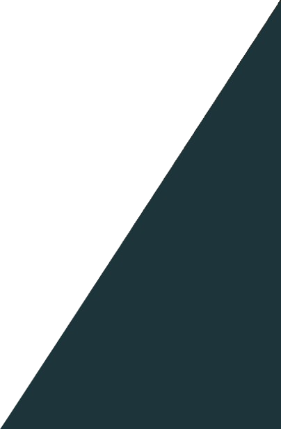 Untitled_design__2_-removebg-preview